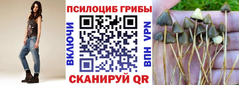Псилоцибиновые грибы Magic Shrooms Изобильный